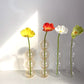 Ethereal Glass Bubble Vase Collection