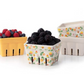 Orchard Charm Ceramic Fruit Basket Set